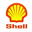 Yenidoğan Shell